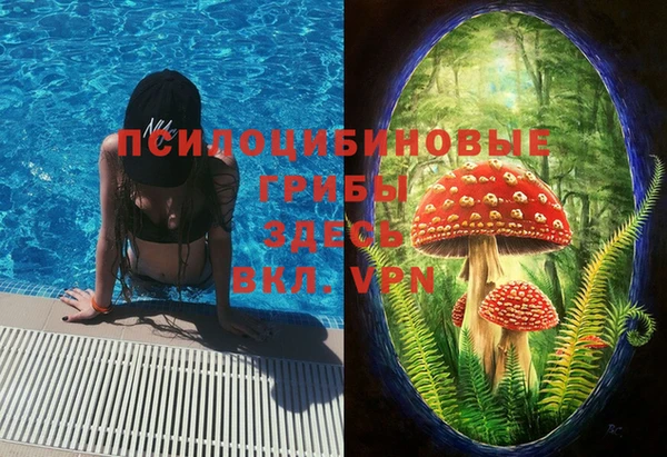 apvp Алексеевка