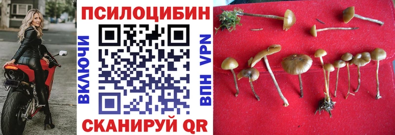Галлюциногенные грибы мицелий  Анива 